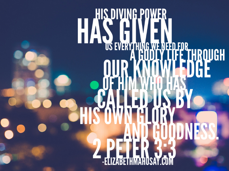 Everything We Need Blog